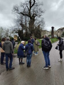 WhatsApp Image 2026-03-13 at 12.38.12 (3)